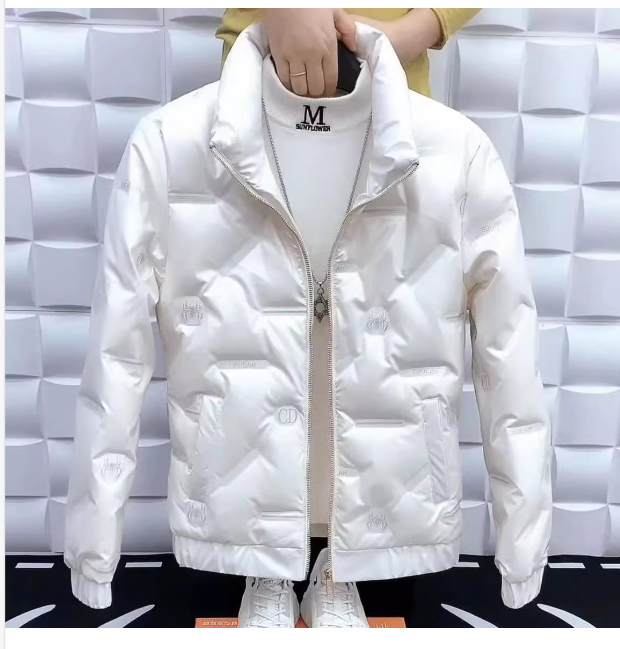 07)  Men winter 23: 2024 new shiny non-wash handsome stand-up collar casual light Down jacket